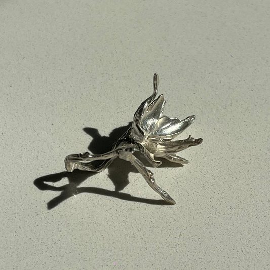 Bloom Eternal — Real Flower Silver Ring